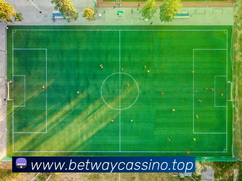 必威betwayAPP 封面图